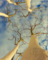 Stephan-Redel-0068-897-06418