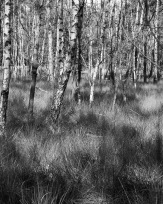 Stephan-Redel-0071-880-0037