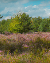 Stephan-Redel-0072-880-0030