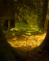 Stephan-Redel-0074-879-0639