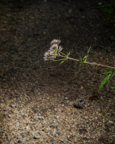 Stephan-Redel-0075-879-0633