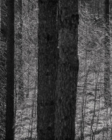 Stephan-Redel-0077-1081-03527