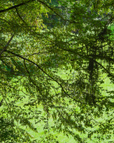 Stephan-Redel-0080-879-0617