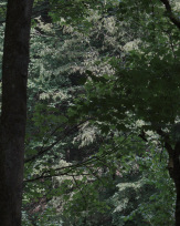 Stephan-Redel-0081-879-0616