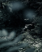 Stephan-Redel-0083-879-0141