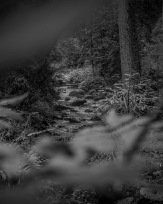 Stephan-Redel-0084-879-0129