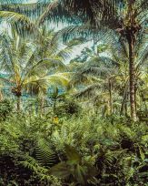 Stephan-Redel-0089-DIA-004-092