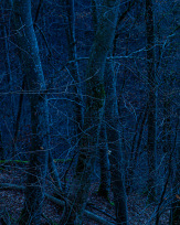 Stephan-Redel-0090-934-02816