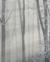 Stephan-Redel-0091-261-20926