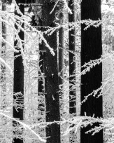 Stephan-Redel-0092-261-20905