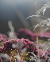 Stephan-Redel-0093-382-6905