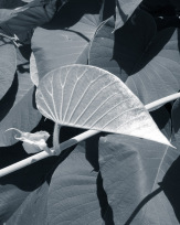 Stephan-Redel-0094-780-2538