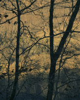 Stephan-Redel-0095-934-02829