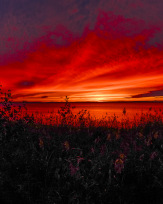 Stephan-Redel-0098-849-04046