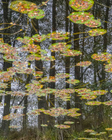 Stephan-Redel-0102-849-03988