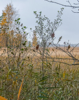 Stephan-Redel-0104-849-03974