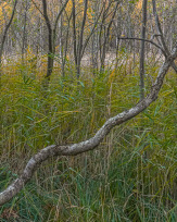 Stephan-Redel-0105-849-03972