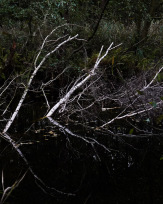 Stephan-Redel-0106-849-03952