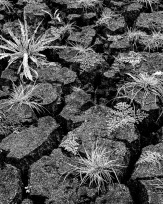 Stephan-Redel-0107-887-02004