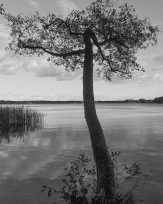 Stephan-Redel-0110-849-03743