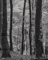 Stephan-Redel-0111-1054-525