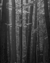 Stephan-Redel-0112-1026-06551