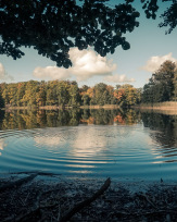 Stephan-Redel-0113-1026-06493