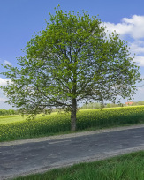 Stephan-Redel-0119-867-07939