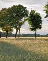 Stephan-Redel-0121-487_STR9917