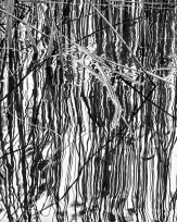 Stephan-Redel-0122-1040-08535