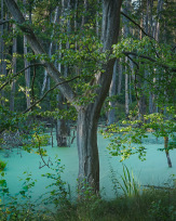 Stephan-Redel-0123-1063-01181