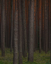 Stephan-Redel-0124-1065-01676