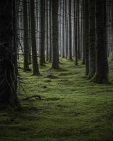 Stephan-Redel-0126-1062-00972