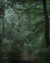 Stephan-Redel-0129-1063-01436