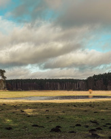 Stephan-Redel-0131-1037-08319