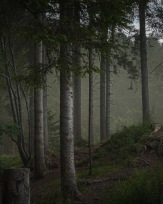 Stephan-Redel-0133-1062-00777