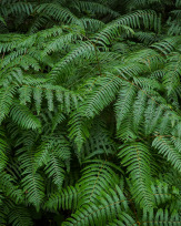 Stephan-Redel-0134-1062-00821