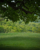 Stephan-Redel-0135-1054-022