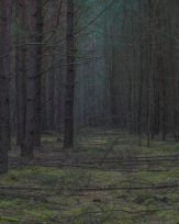 Stephan-Redel-0136-952-03908