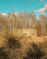 Stephan-Redel-0137-1038-08376