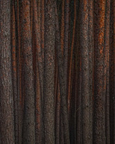 Stephan-Redel-0138-1065-01678