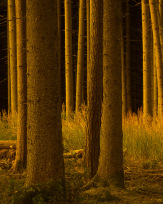 Stephan-Redel-0140-1062-00985