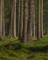 Stephan-Redel-0142-1062-00952