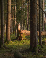 Stephan-Redel-0143-1062-00948