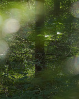 Stephan-Redel-0144-1062-00851