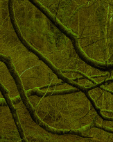 Stephan-Redel-0145-1034-07677