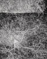 Stephan-Redel-0146-1083-3900