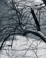 Stephan-Redel-0149-990-08279