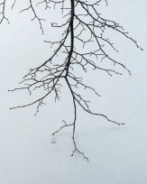 Stephan-Redel-0150-990-08256