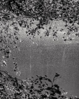 Stephan-Redel-0152-1065-01644